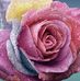 Terri Shell - Facebook