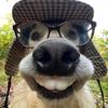 Terry silver - @terry.silver46 - TikTok
