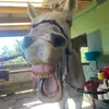 terrie_sims07 - @terrie_sims07 - TikTok