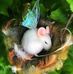 Terri Sisk - Facebook