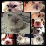 Terri - @terrisisk - Instagram