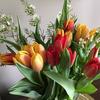 Terry Sisk - @terry.sisk - TikTok