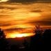 Terri Sorrell - Facebook