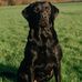 Terry Souter - Facebook