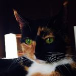Terry Spath - @terry_spath - Instagram