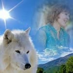 Terry Spear - @heart_of_the_wolf - Instagram