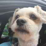 Terri Staples - @territms7 - Instagram