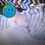 Terry Staples - @owlbuilder - Instagram