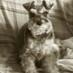 Terri Fritts Stapleton - @frittsstapleton - Instagram