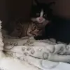 Terry Stapleton - @terry.stapleton0 - TikTok