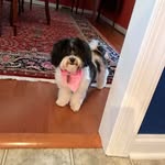 Terri Steele - @terristeele9379 - Instagram