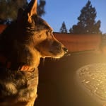 Terri Wood Steen - @terriwoodsteen - Instagram