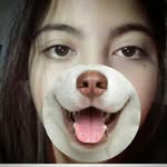 Terry Steiner - @terryttsteiner - Instagram