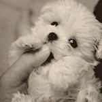 terry STEINER - @terryttsteineer - Instagram