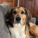 Terri Stinebruner - @terristinebruner - Instagram