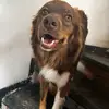 3 peludos - @storm.sky.terri - TikTok