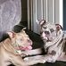 Terri Stott - Facebook