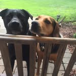 Terri Stowell - @claddagh426 - Instagram