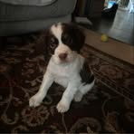 Theresa Stowell - Facebook