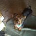 Terri Strodes - Facebook