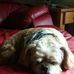 Theresa Stultz - Facebook