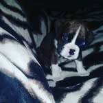 terri@suarez - @terri.suarez12 - Instagram