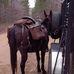 Terry Sudduth - Facebook