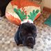 Terry Sudduth - Facebook