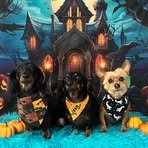 Terri Tanner - Facebook