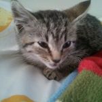 Teresa Tarr - @territarr - Instagram