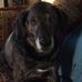 Terri Tarr - Facebook