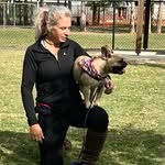 Terri Dossetto - @terri_dog_trainer - Instagram