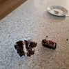 Teresa - @territran3 - TikTok