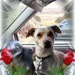 Terri Vanderslice - Facebook