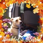 Terri Vanderslice - Facebook
