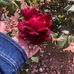 Terri Velez-Meza - Facebook