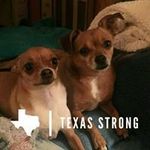 Terry Venable - @terry.venable.161 - Instagram