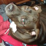 Terri Vinson - @vinson6653 - Instagram