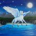 Teri Vogt - Facebook