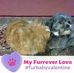 Terri Vogt - Facebook