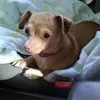 Terri Wagoner - @terri.wagoner - TikTok
