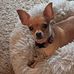 Terrie Wagoner - Facebook