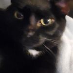 Terri Waldron - @waldron2916 - Instagram