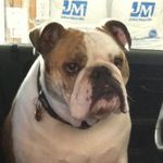 Terry Waldron - @terry.waldron.3 - Instagram