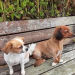 Terri Wallis - @terriosbornwallis - Instagram