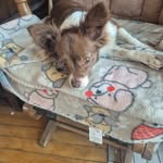 Terri Phillips Ware - @phillipsware - Instagram