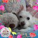 Terri Warner - Facebook