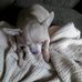 Terri Warwick - Facebook
