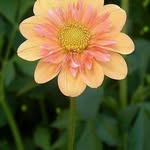 Terri Buell Watts - @terriwatts56 - Instagram
