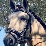 Terri Watts - @terriwatts126 - Instagram